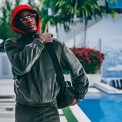 Picture for song 'Landslide' by artist 'RicandThadeus'