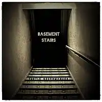 Picture for song 'Basement Stairs' by artist 'Turtle Necromancer'