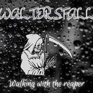 Picture for song 'Walking with the reaper' by artist 'Walters fall'