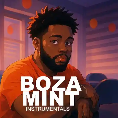 Picture for song 'MOVE INSTRUMENTALS' by artist 'BOZA'
