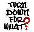 Picture for song 'Turn Down For What?' by artist 'B Grizzy'