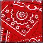 Picture for song 'BQ Records (Young Official) Red Bandana' by artist 'BQ Recordz'