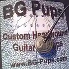 Picture for song 'BG Pups Acoustic Guitar Pickup Demo' by artist 'Bryan Gunsher'