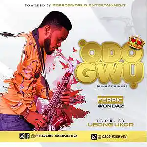 Picture for song 'Odogwu' by artist 'Ferric Wondaz'