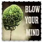 Picture for song 'Blow your mind (Demo)' by artist 'JAV-A-NERRO PRODUCTIONS'