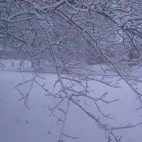 Picture for song 'Jolly - Snow Daze - 01 - Track 1' by artist 'JollyJ'