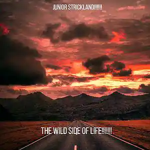 Picture for song 'WILD SIDE OF LIFE!!!!!!!!' by artist 'JUNIOR STRICKLAND'