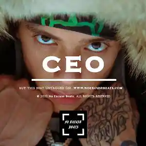 Picture for song 'Central Cee "Ceo" BUY 2 GET 1 FREE' by artist 'No Excuse Beats'