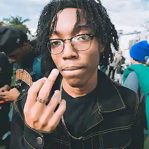 Picture for song 'LIL TECCA "WILD"' by artist 'storm on da beat'