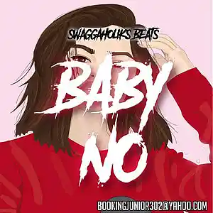 Picture for song '!!NEW!! Baby No (W/O HOOK)' by artist 'SWAGGAHOLIKS BEATS'