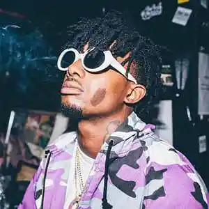 Picture for song 'Playboi Carti x Young Nudy Type Beat "Never"' by artist 'SyfeeCreaz'
