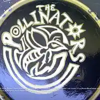 Picture for song 'what have you done (to my heart) ' by artist 'the Pollinators'