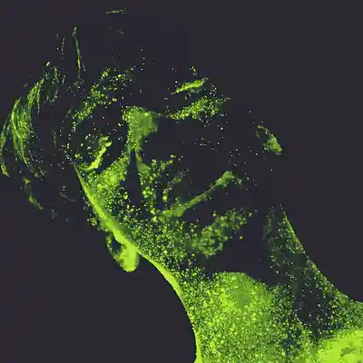 Picture for song 'clean' by artist 'typedot'