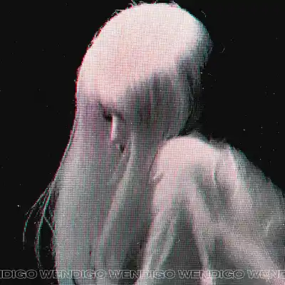 Picture for song 'Quasar (BUY 1 GET 4 FREE)' by artist 'Wendigo'