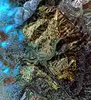 Picture for song 'moto2' by artist '3 of Spades'