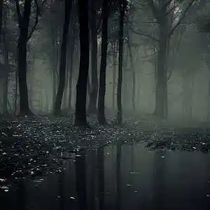 Picture for song 'Ghost Trail' by artist 'Anthony L Smith'