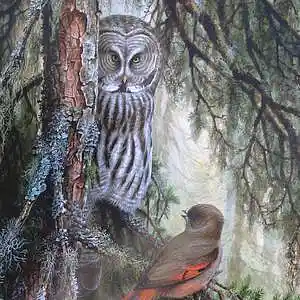 Picture for song 'Gray Owl' by artist 'Black Chalk'