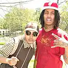 Picture for song 'Birds Fly' by artist 'Cash Hits'