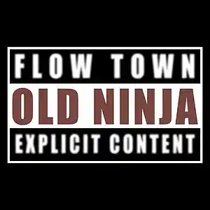 Picture for song 'old ninja' by artist 'Flow Town Factory'