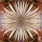 Picture for song 'Jumping Horse **NEW**' by artist 'Salvagem Music'