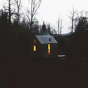 Picture for song '"Woods" Beats for Sale' by artist 'whoDeanyBeatz'