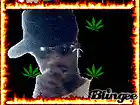 Picture for song 'push it' by artist 'Young Dirt 459'