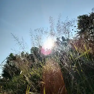 Picture for song '20240721_200548_sauber_SfFs' by artist '786 scheint-Al'lahs Bande'