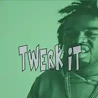 Picture for song 'Twerk It' by artist 'BaysFynest Beatz'