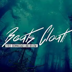 Picture for song 'Fireflies' by artist 'BeatsClout'