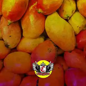 Picture for song 'MANGO (The Kid LAROI Tyla Yaweh Type Beat)' by artist 'Chorderline'