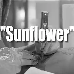 Picture for song '"Sunflower" ( BUY 1 GET 4 FREE )' by artist 'davmusic'