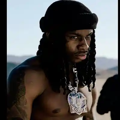 Picture for song 'Polo G Type Beat - No More BPM 174 G minor' by artist 'Hashtag6eatZ033'