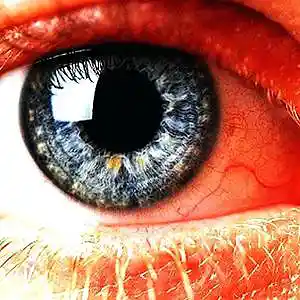 Picture for song 'Glassy Eyes' by artist 'Lee Shapiro'