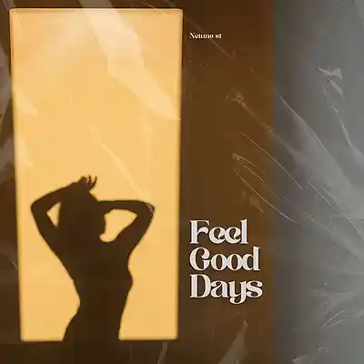 Picture for song 'Feel Good Days' by artist 'Netuno Soundtracks'