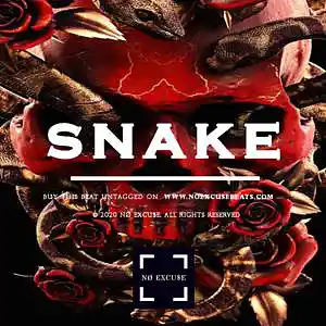Picture for song '6ix9ine "Snake" BUY 2 GET 1 FREE' by artist 'No Excuse Beats'