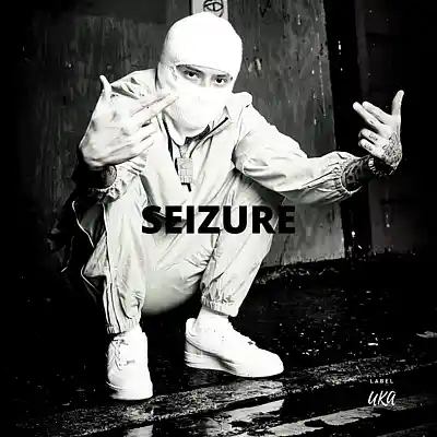 Picture for song 'Seizer (Buy 1 get 10 Free)' by artist 'Kontraa'