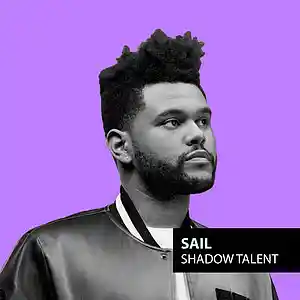 Picture for song 'Sail | The Weeknd x 6lack Type Beat | Smooth/Rnb' by artist 'Shadow Talent'