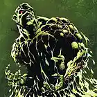 Picture for song 'Swamp Thing' by artist 'Brandon J. Sierra'