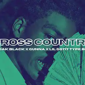 Picture for song 'Cross Country' by artist 'Chipz On The Beat'