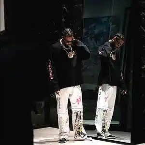 Song picture