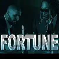 Picture for song 'Fortune *Buy 1 get 2 free* www.DjFlippp.com' by artist 'DjFlippp'