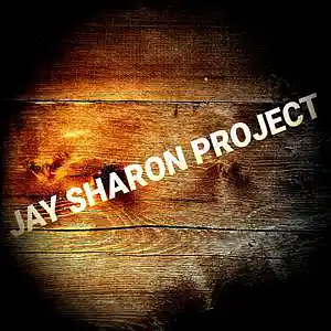 Picture for song 'Dangerous Love' by artist 'Jay Sharon Project'