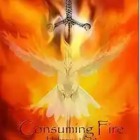 Picture for song 'Hunger & Thirst, Flame of Jah' by artist 'nHzImage'