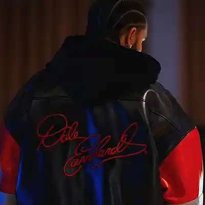 Picture for song 'PartyNextDoor type beat "Can't Get Enough"' by artist 'anotherxlife'