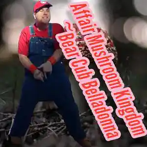 Picture for song 'Affair Mushroom Kingdom' by artist 'Bear Cub Belladonna'