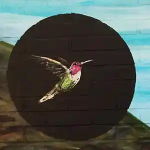 Picture for song 'Soar' by artist 'BinGoMusic'