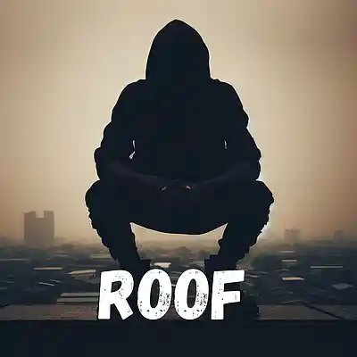 Picture for song 'Roof' by artist 'BME JJ'