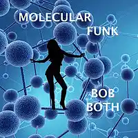 Picture for song 'Molecular Funk' by artist 'Bob Both'