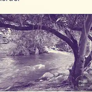 Picture for song 'the stream' by artist 'Oson'