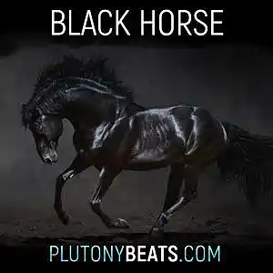 Picture for song 'Black Horse (Buy 1 get 2 Free)' by artist 'Plutonybeats'